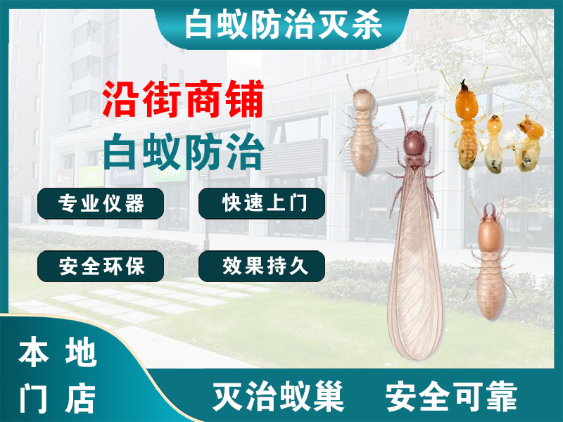 广陵区沿街商铺白蚁防治