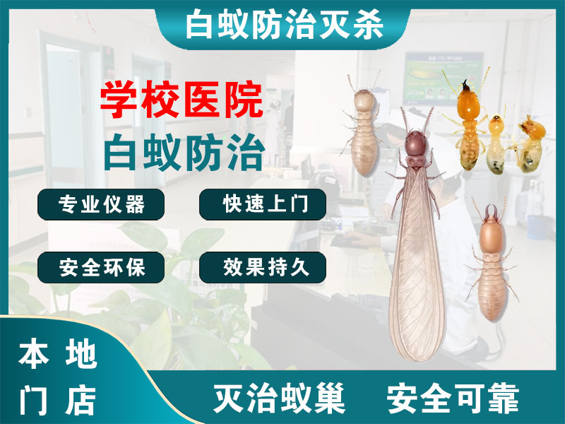 广陵区学校医院白蚁防治