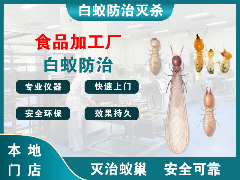广陵区食品加工厂白蚁防治