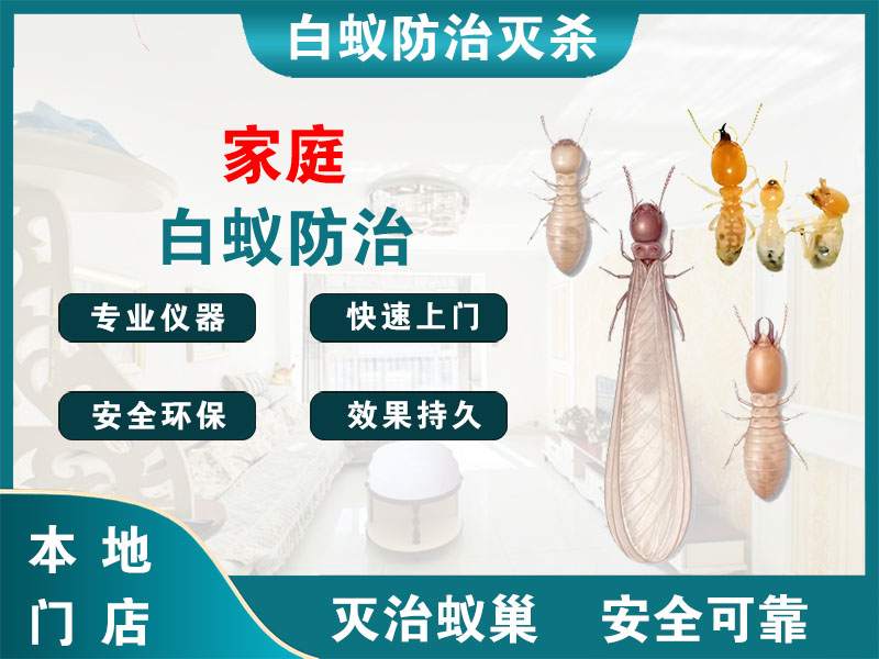 广陵区家庭白蚁防治