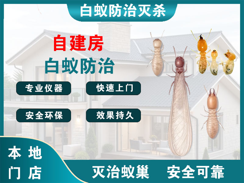 广陵区自建房白蚁防治