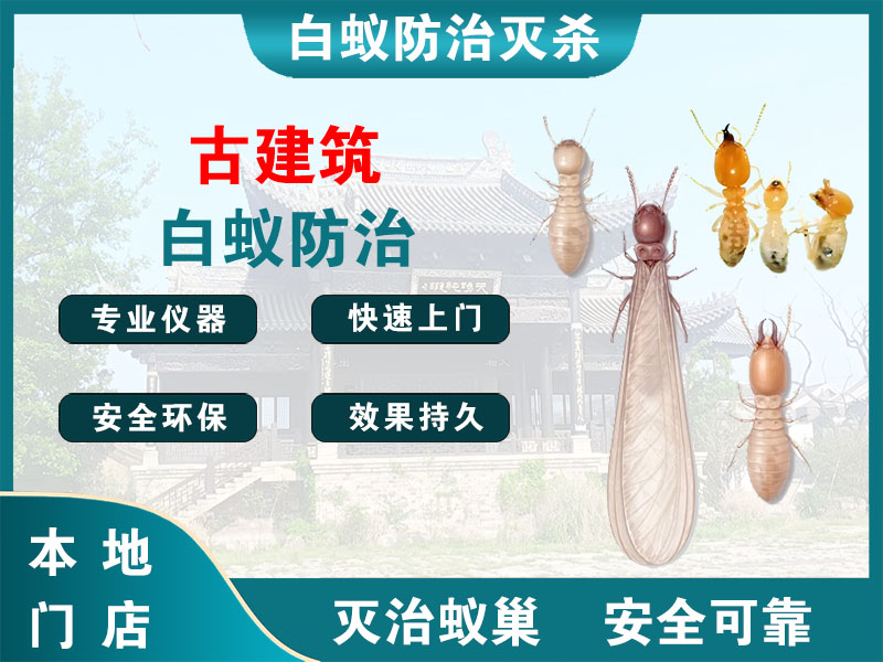 广陵区古建筑白蚁防治