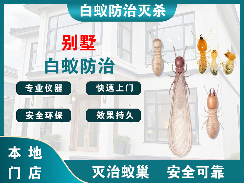 广陵区别墅白蚁防治
