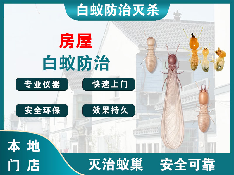 广陵区房屋白蚁防治